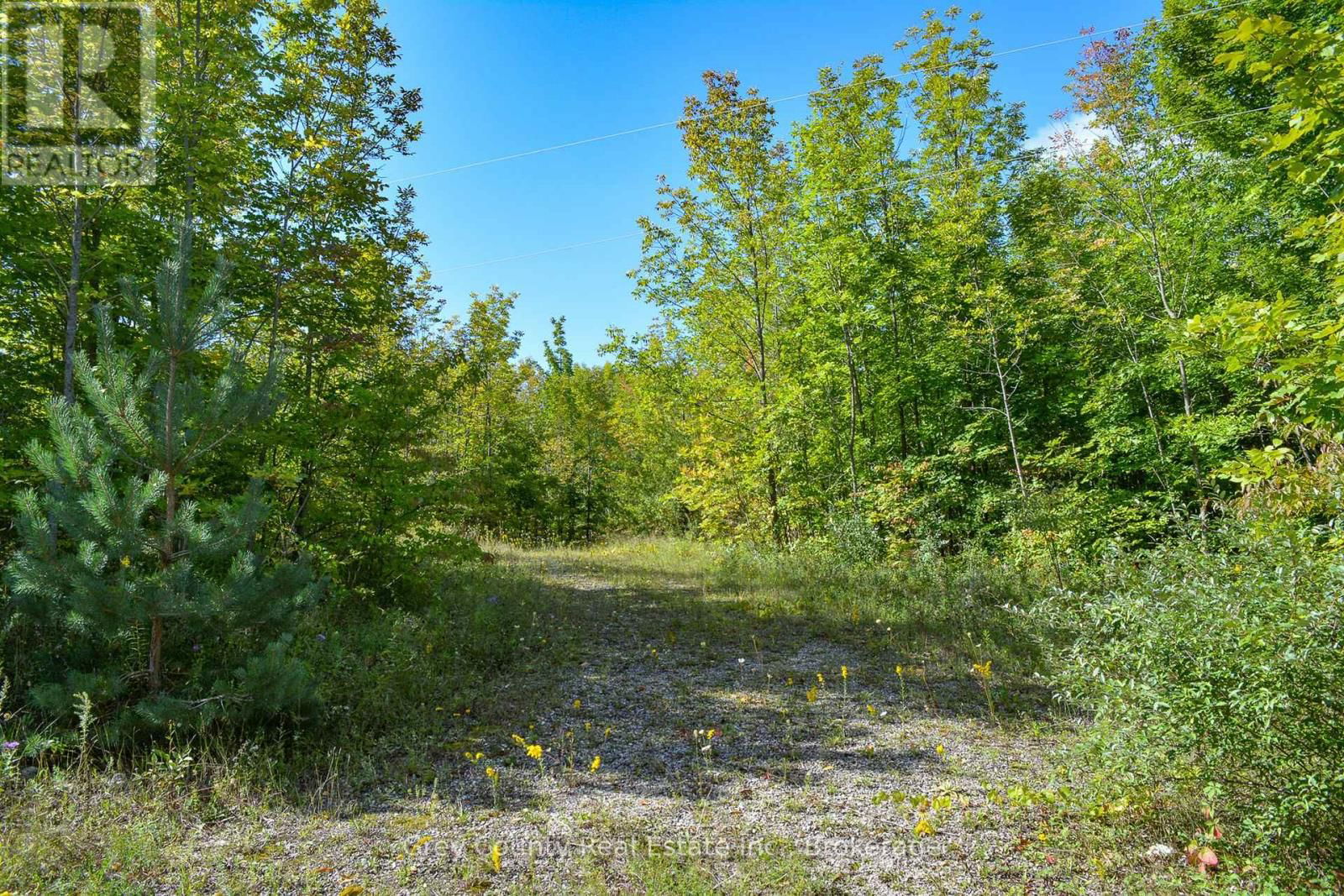 396436 CONCESSION 2 Image 15