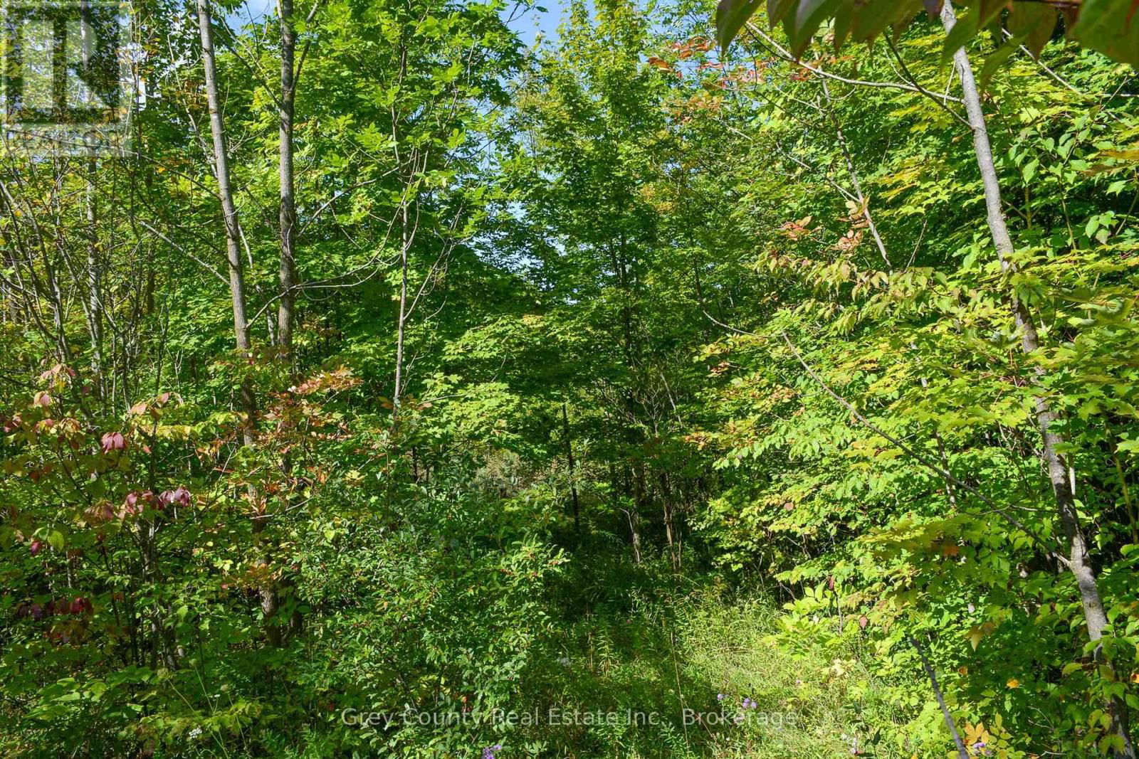 396436 CONCESSION 2 Image 21