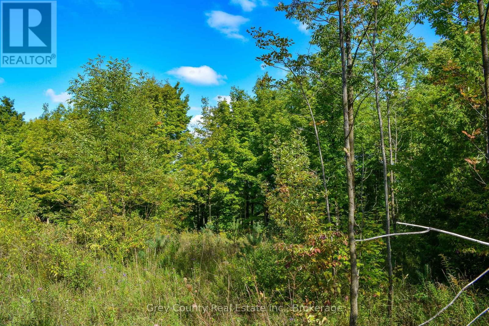 396436 CONCESSION 2 Image 22