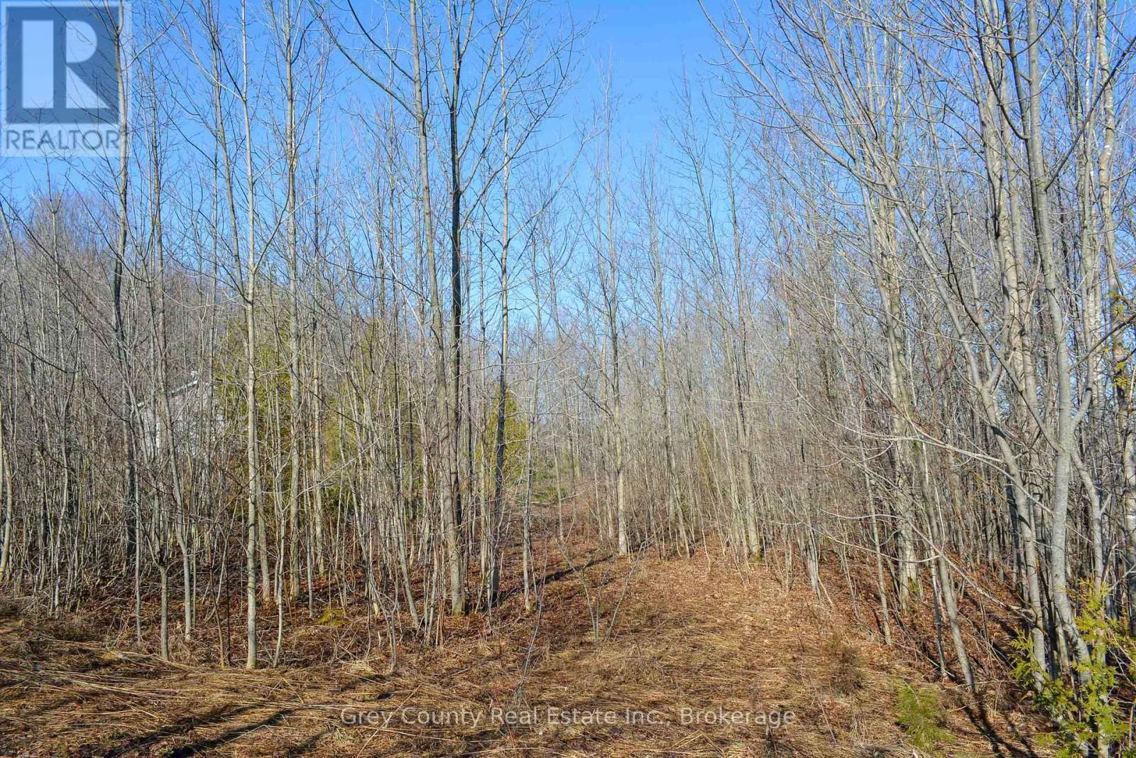 396436 CONCESSION 2 Image 5