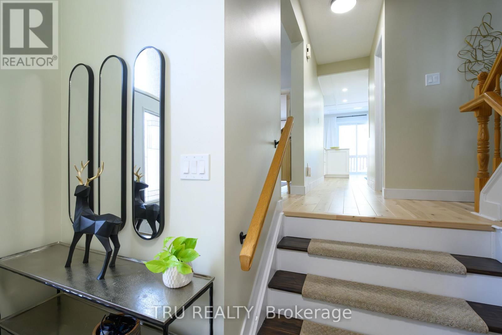 49 FLORIZEL AVENUE Image 3