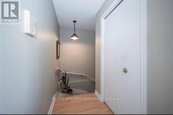 1 - 6 TONIA STREET Image 4