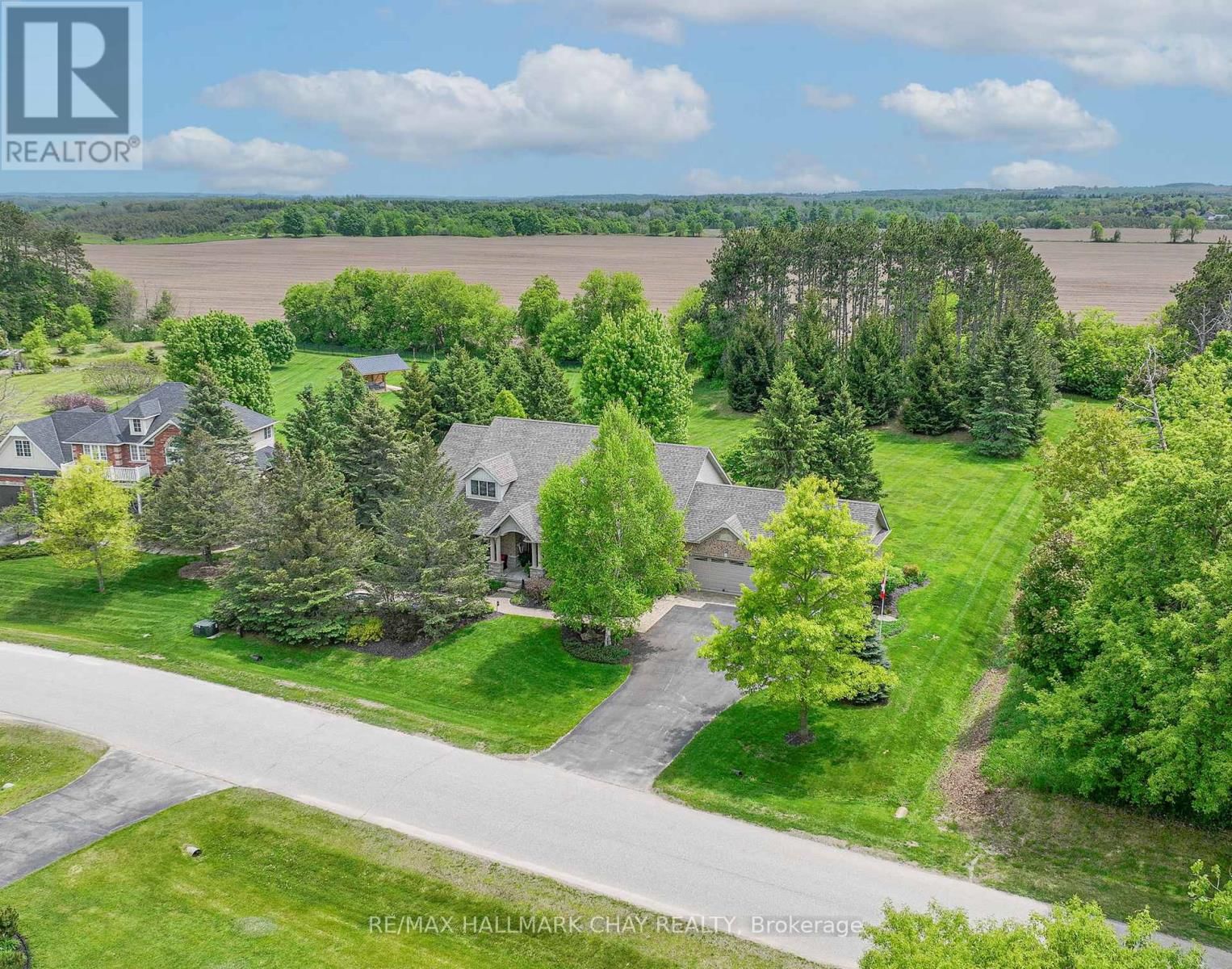 Primary Property View