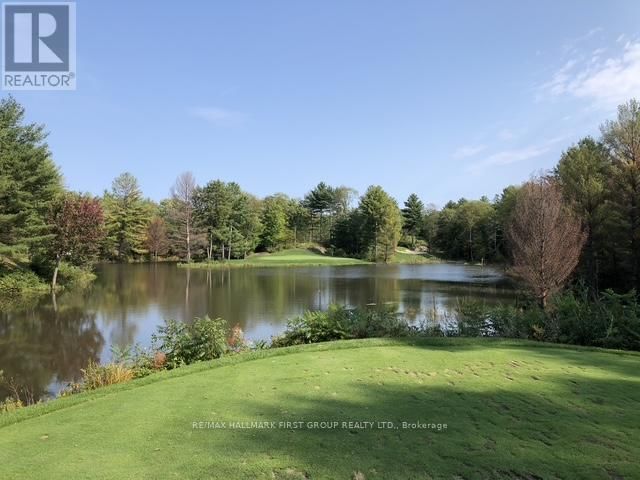 104 - 120 CARRICK TRAIL Image 22