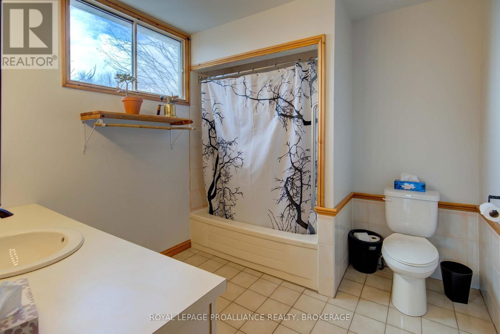 46 BEDFORD STREET Image 29