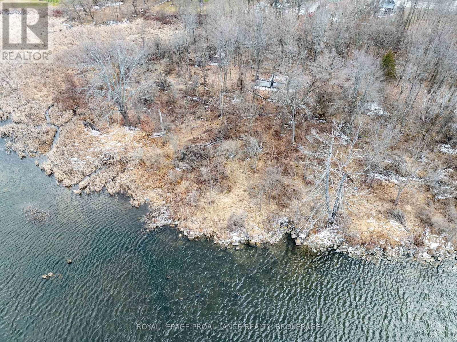 46 BEDFORD STREET Image 34