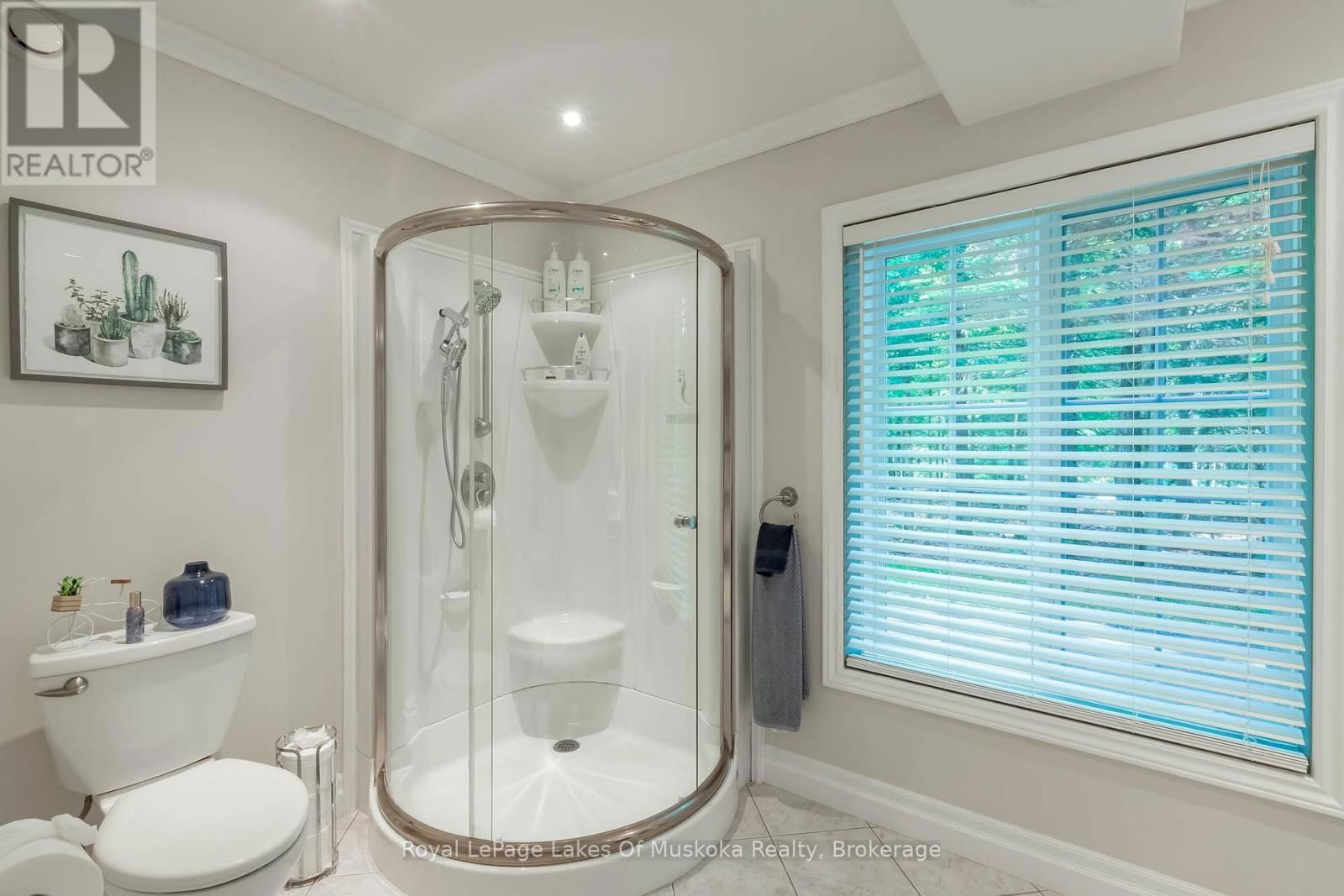 24 BIRCHWOOD DRIVE Image 34