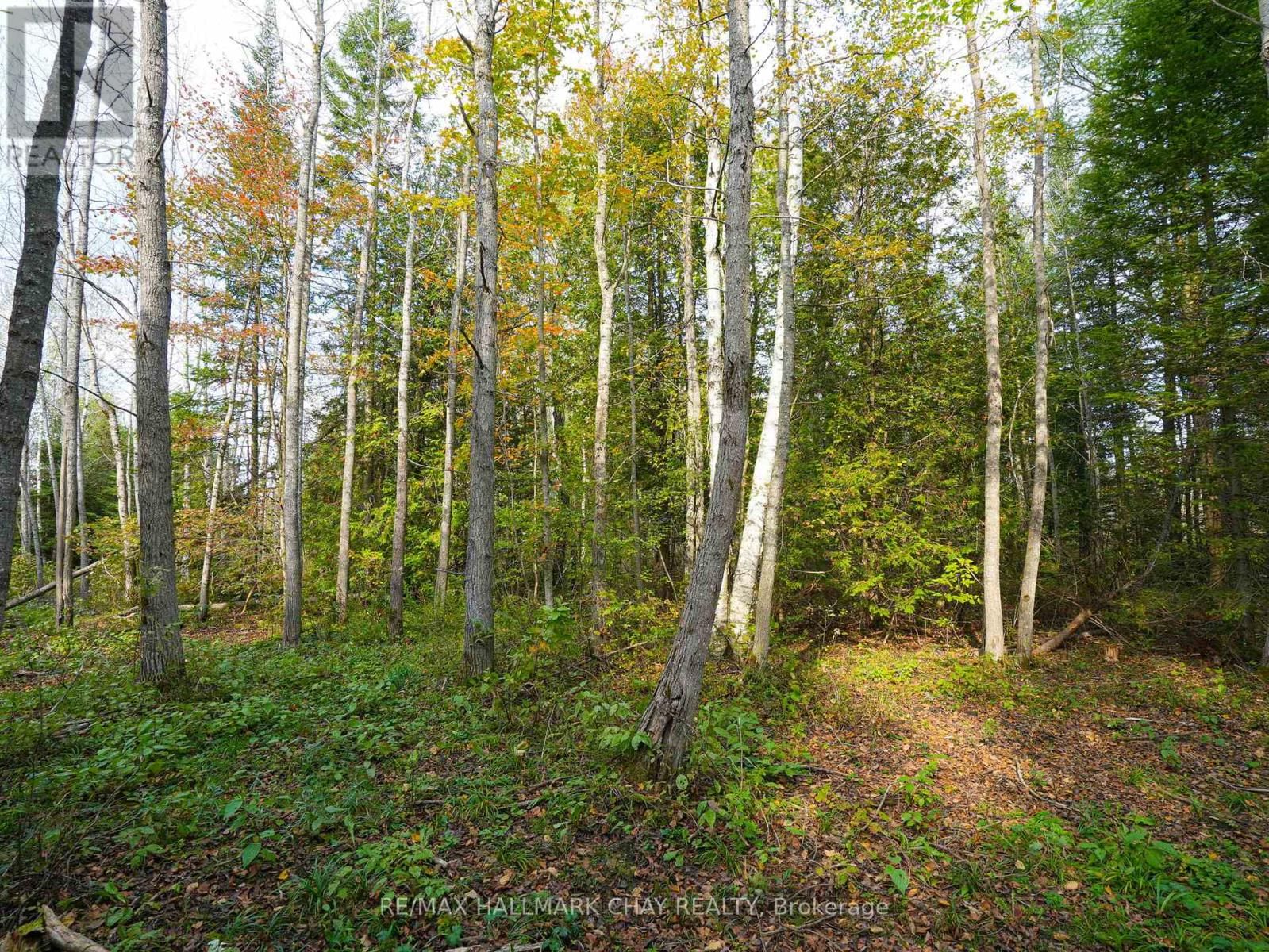 793510 GREY ROAD 124 ROAD Image 10
