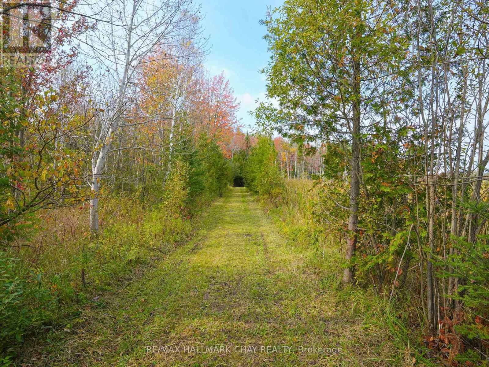 793510 GREY ROAD 124 ROAD Image 11