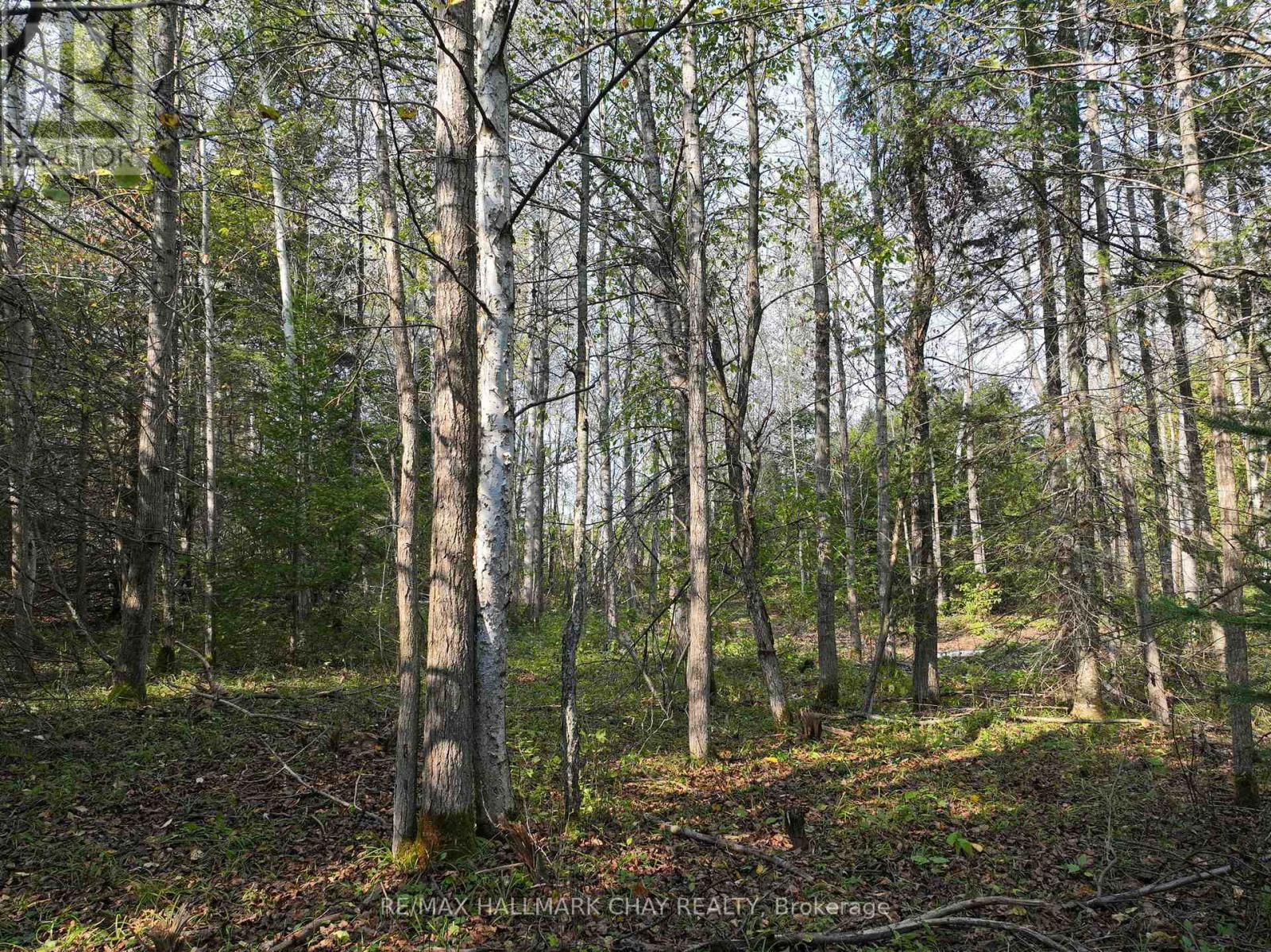 793510 GREY ROAD 124 ROAD Image 14