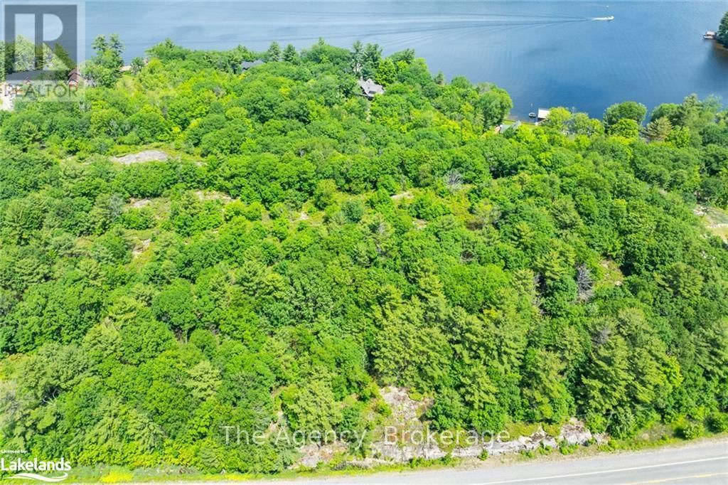 1766 MUSKOKA ROAD 169 ROAD Image 9