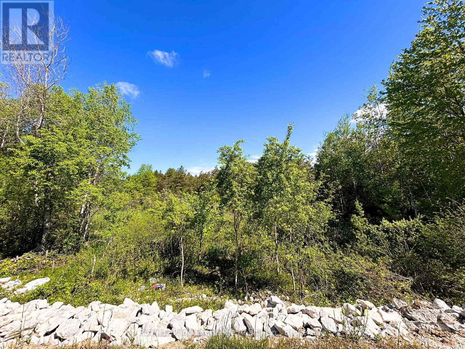 443 PARK STREET WEST Image 15