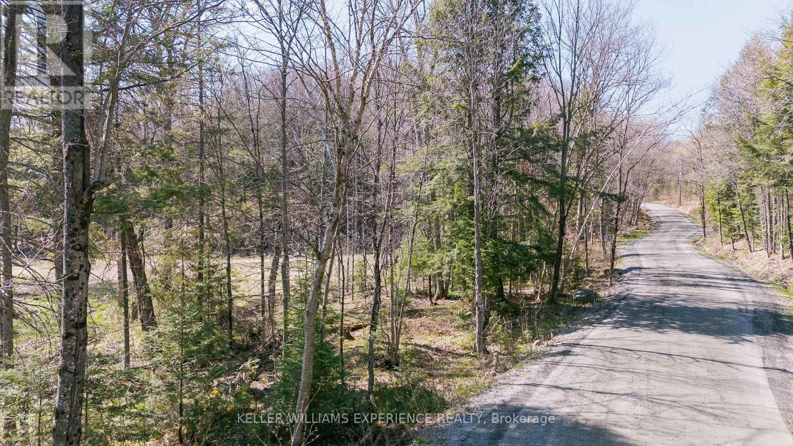 344 NORTH FOX LAKE ROAD Image 3
