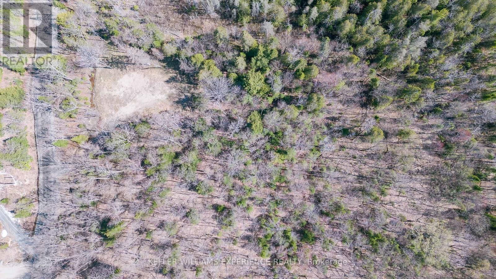 344 NORTH FOX LAKE ROAD Image 8
