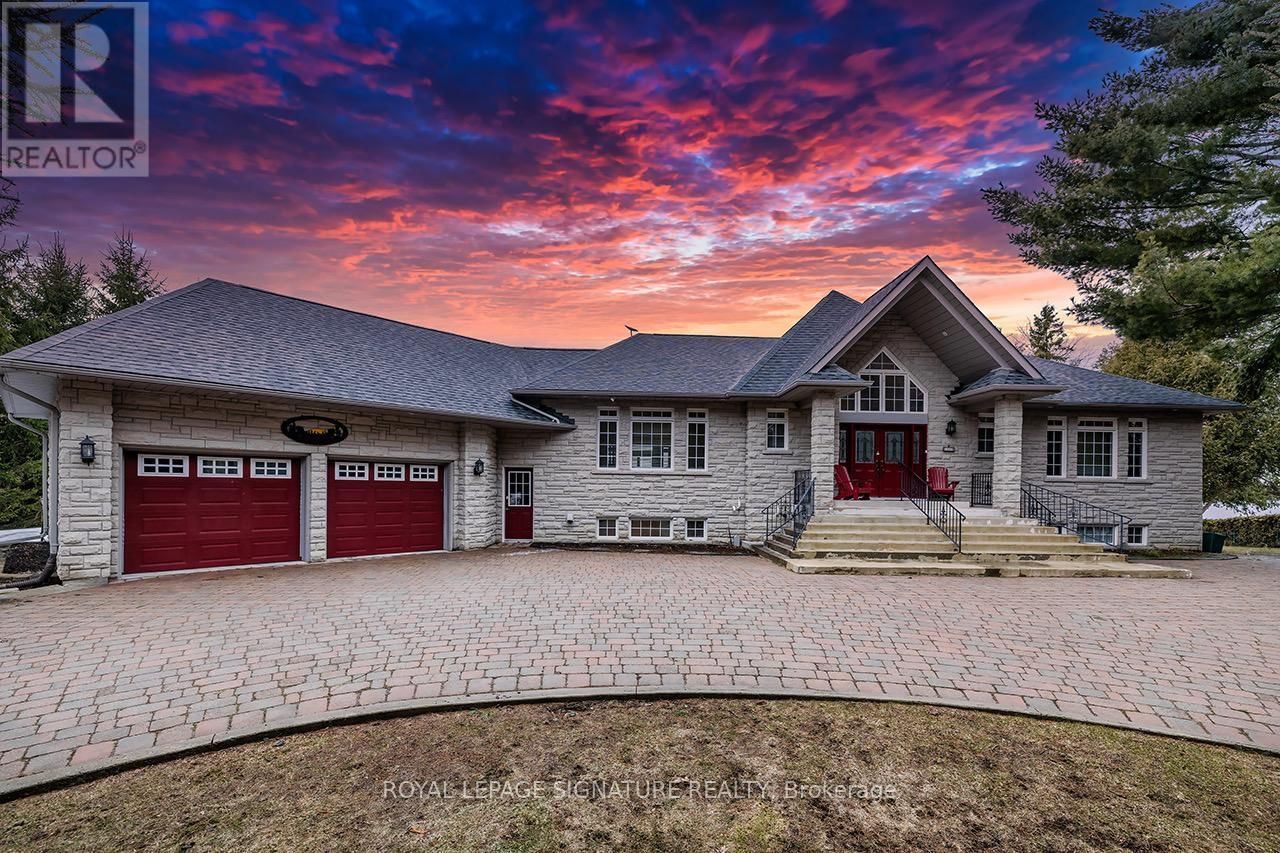 Primary Property View