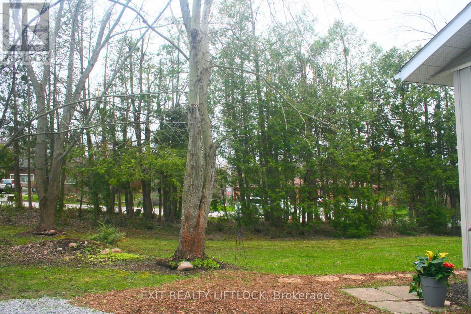 868 LILY LAKE ROAD Image 3
