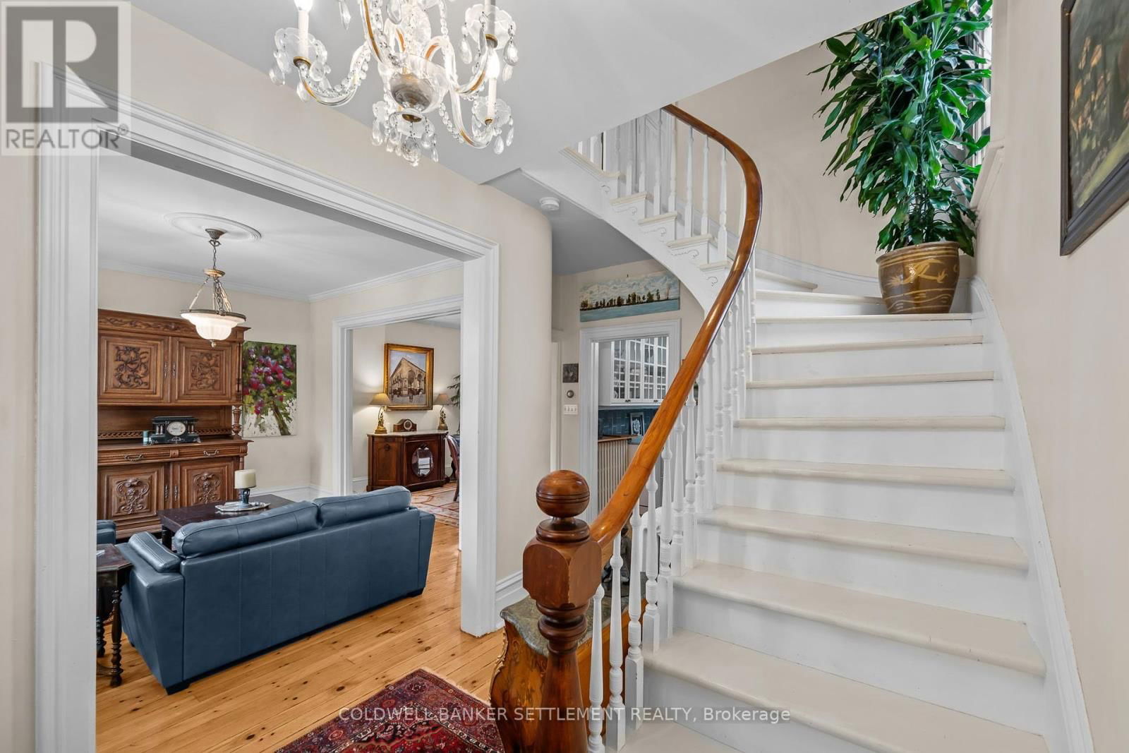 4 D'ARCY STREET Image 28