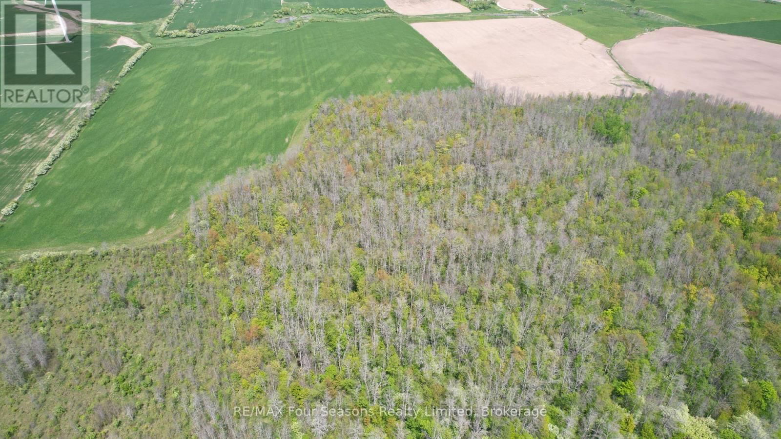 1356 CONCESSION ROAD 10 Image 11