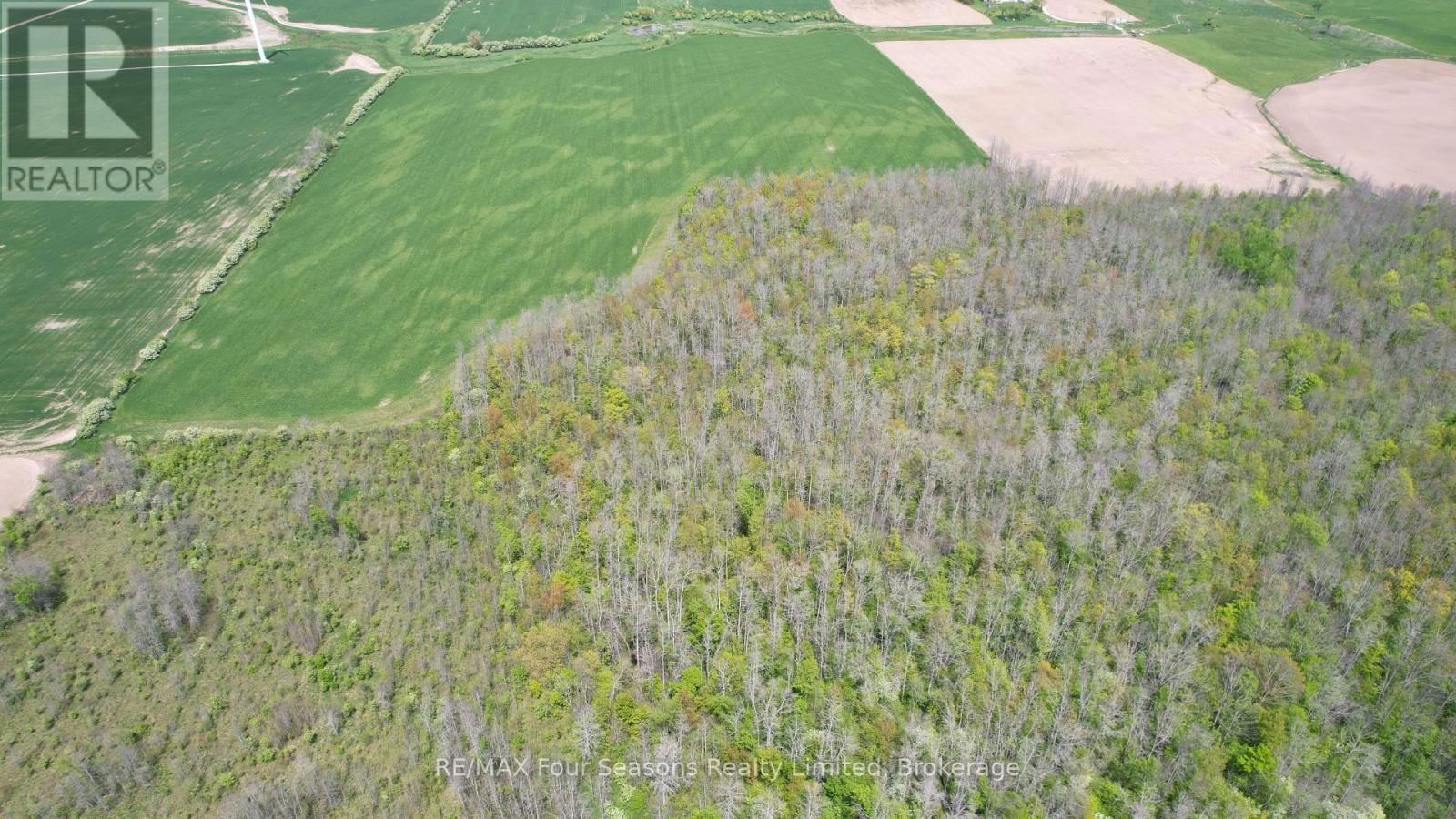 1356 CONCESSION ROAD 10 Image 12