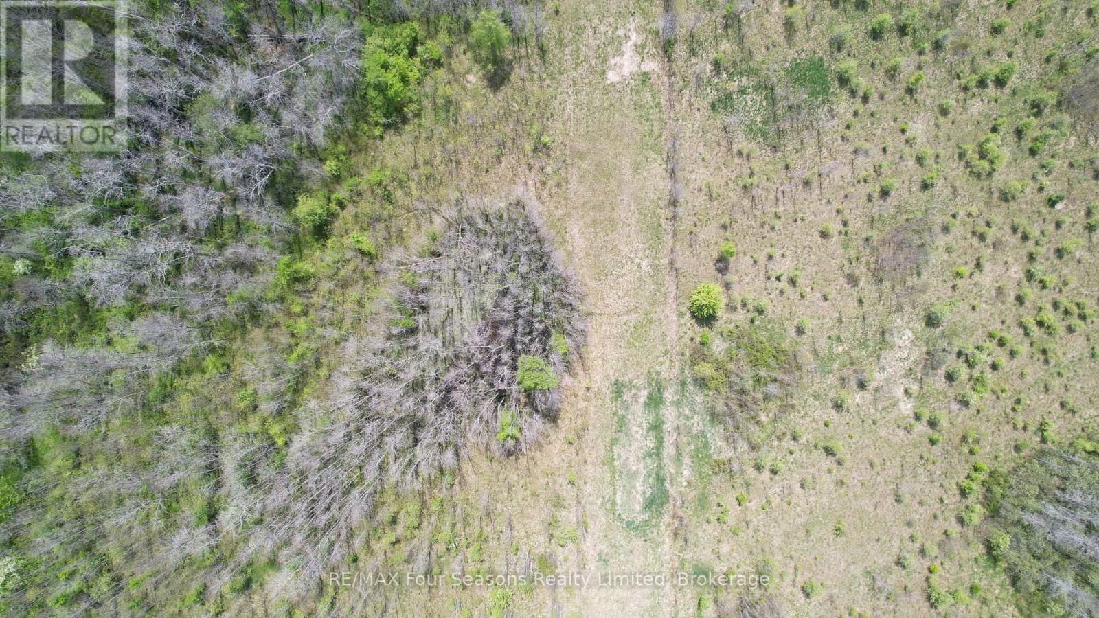 1356 CONCESSION ROAD 10 Image 6
