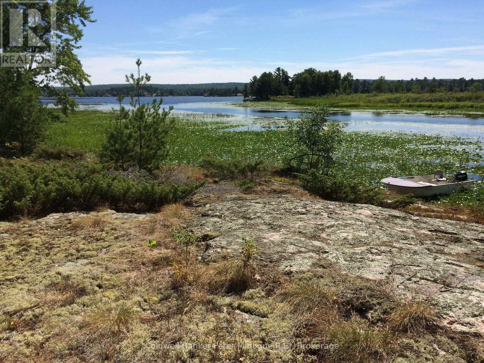 Primary Property View