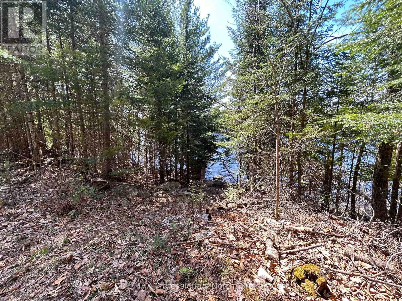 1202 POVERTY BAY TRAIL Image 17