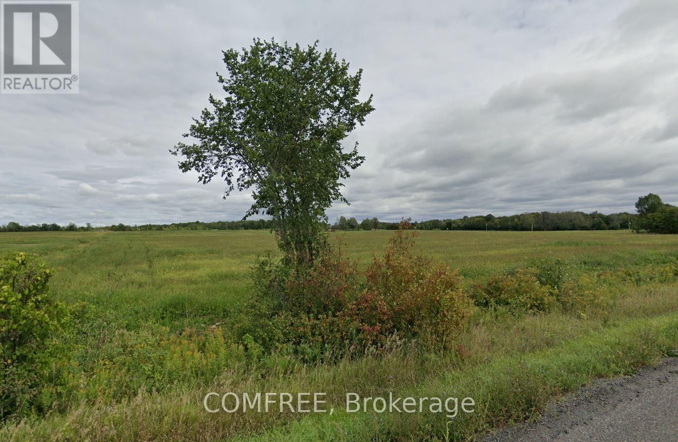Primary Property View