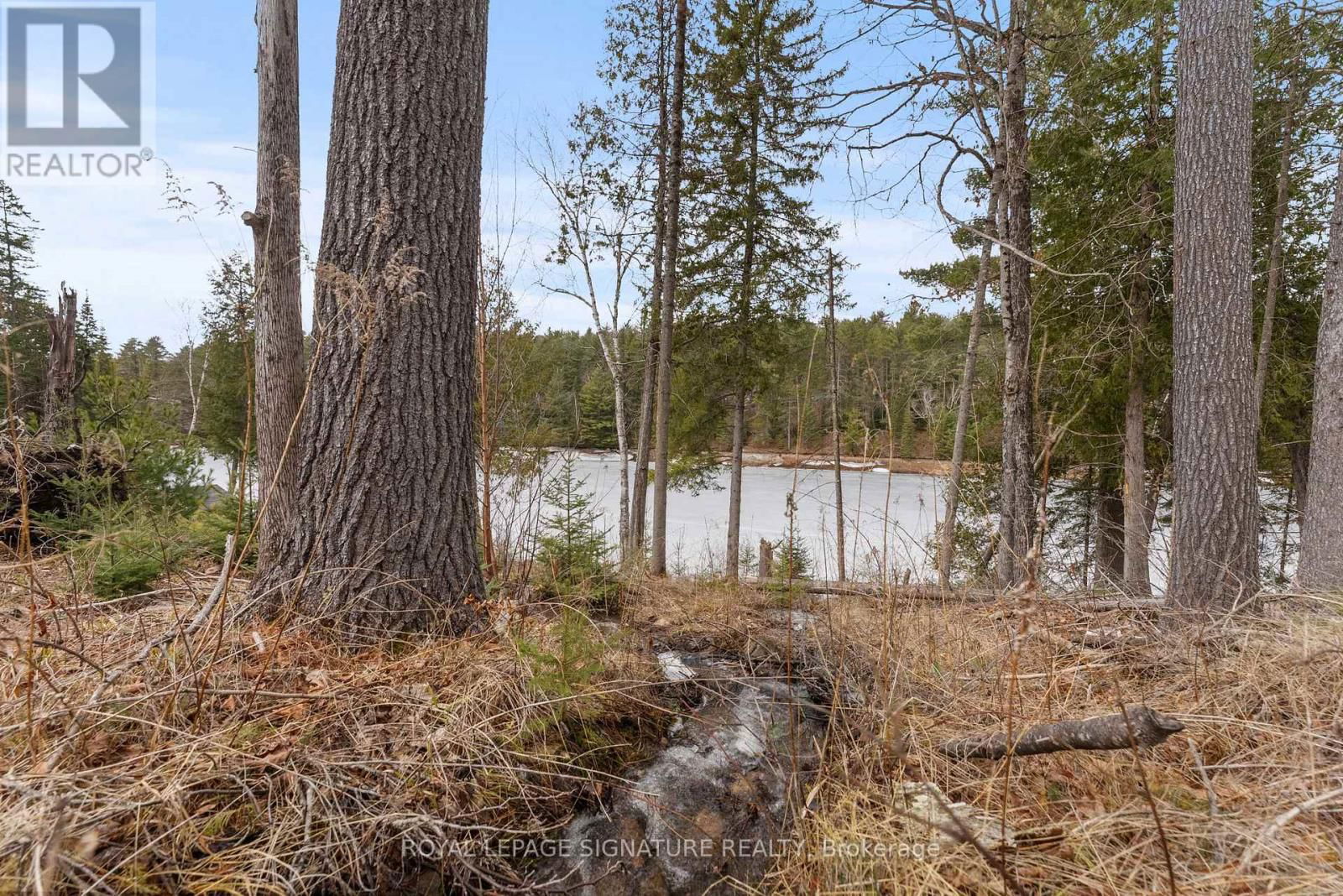 279 BLACK MOUNTAIN ROAD Image 43