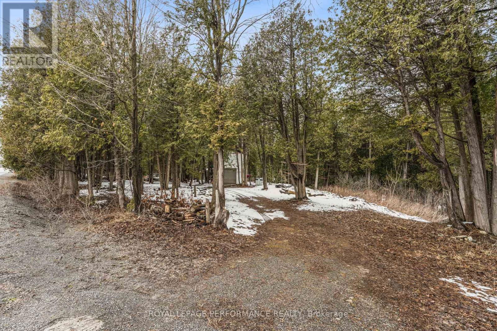 8441 COOPER HILL ROAD Image 5