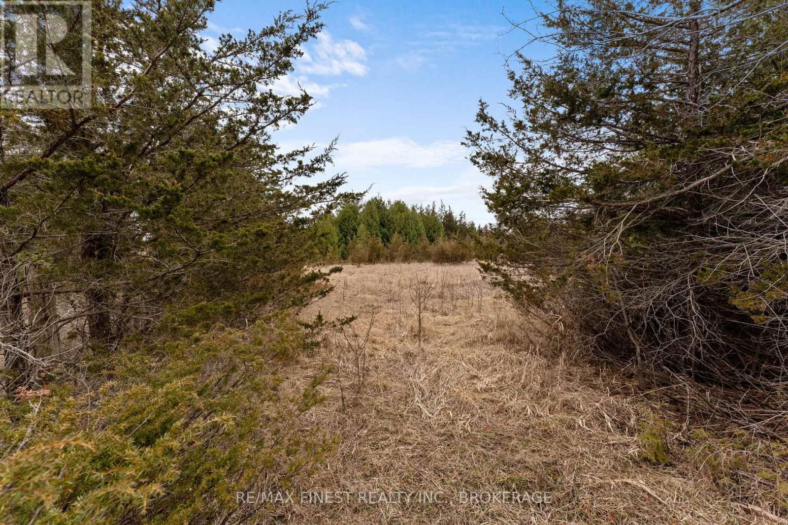 210 BEECHWOOD ROAD Image 5