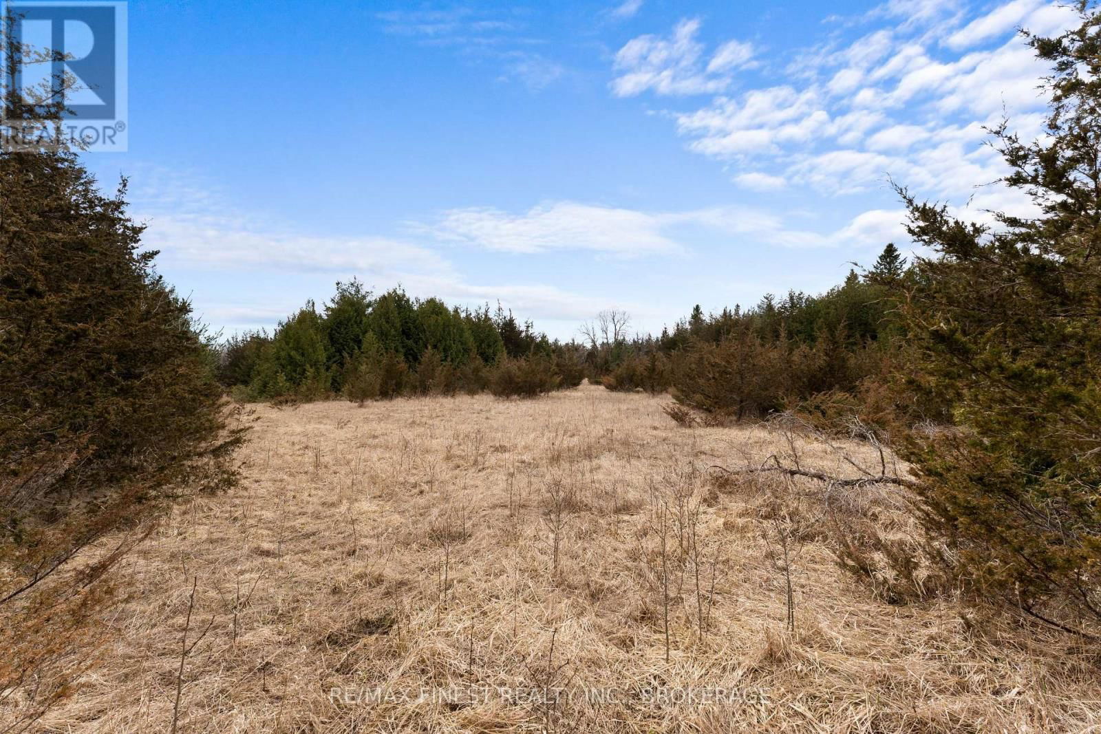210 BEECHWOOD ROAD Image 6