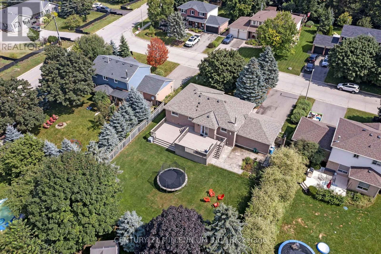 38 ERINLEA CRESCENT Image 34
