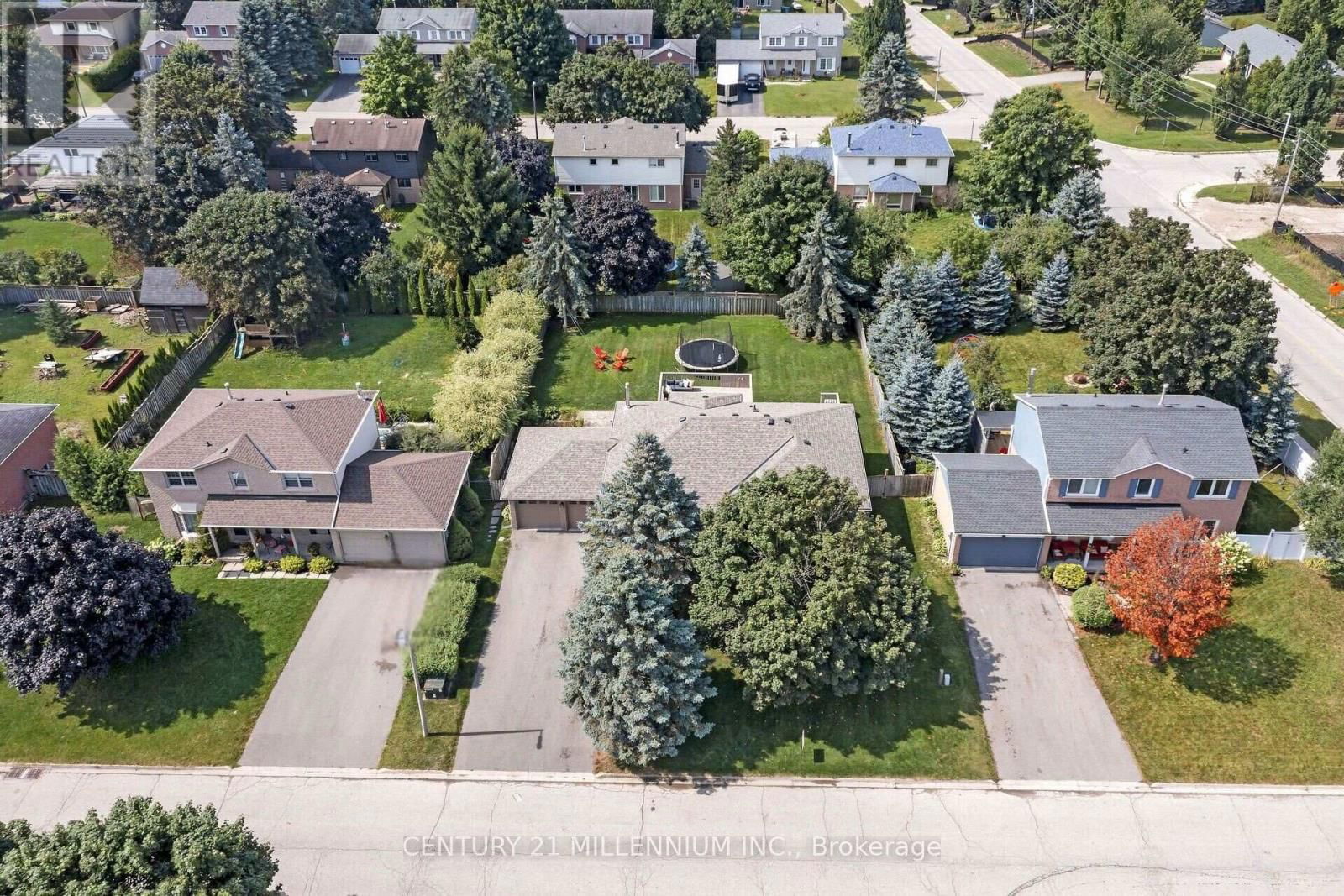 38 ERINLEA CRESCENT Image 39