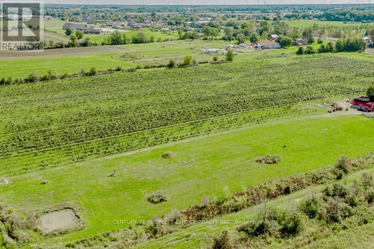 Primary Property View