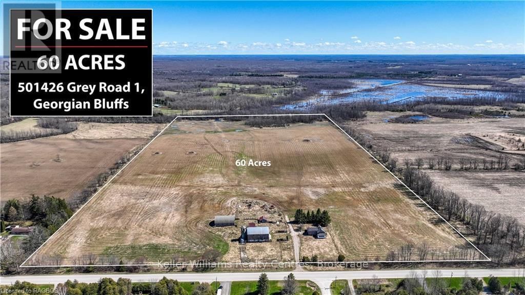 Primary Property View