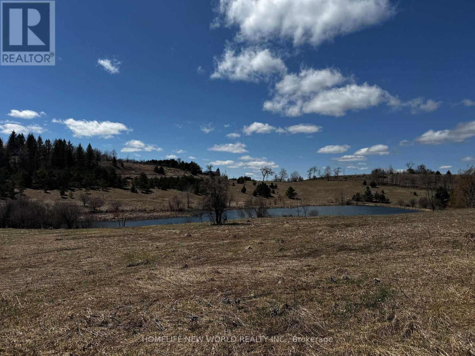 5285 TRAFALGAR ROAD Image 11