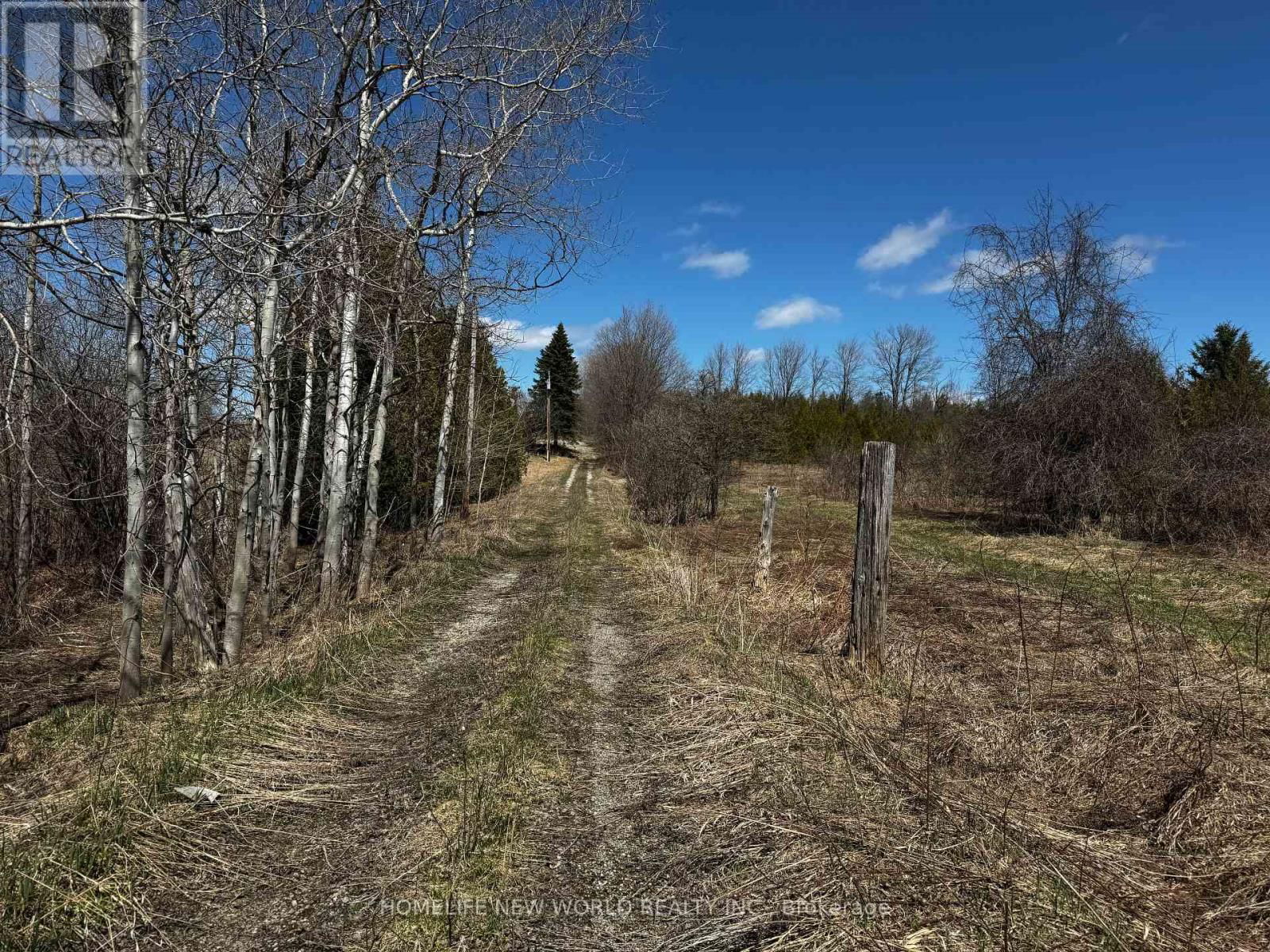 5285 TRAFALGAR ROAD Image 12
