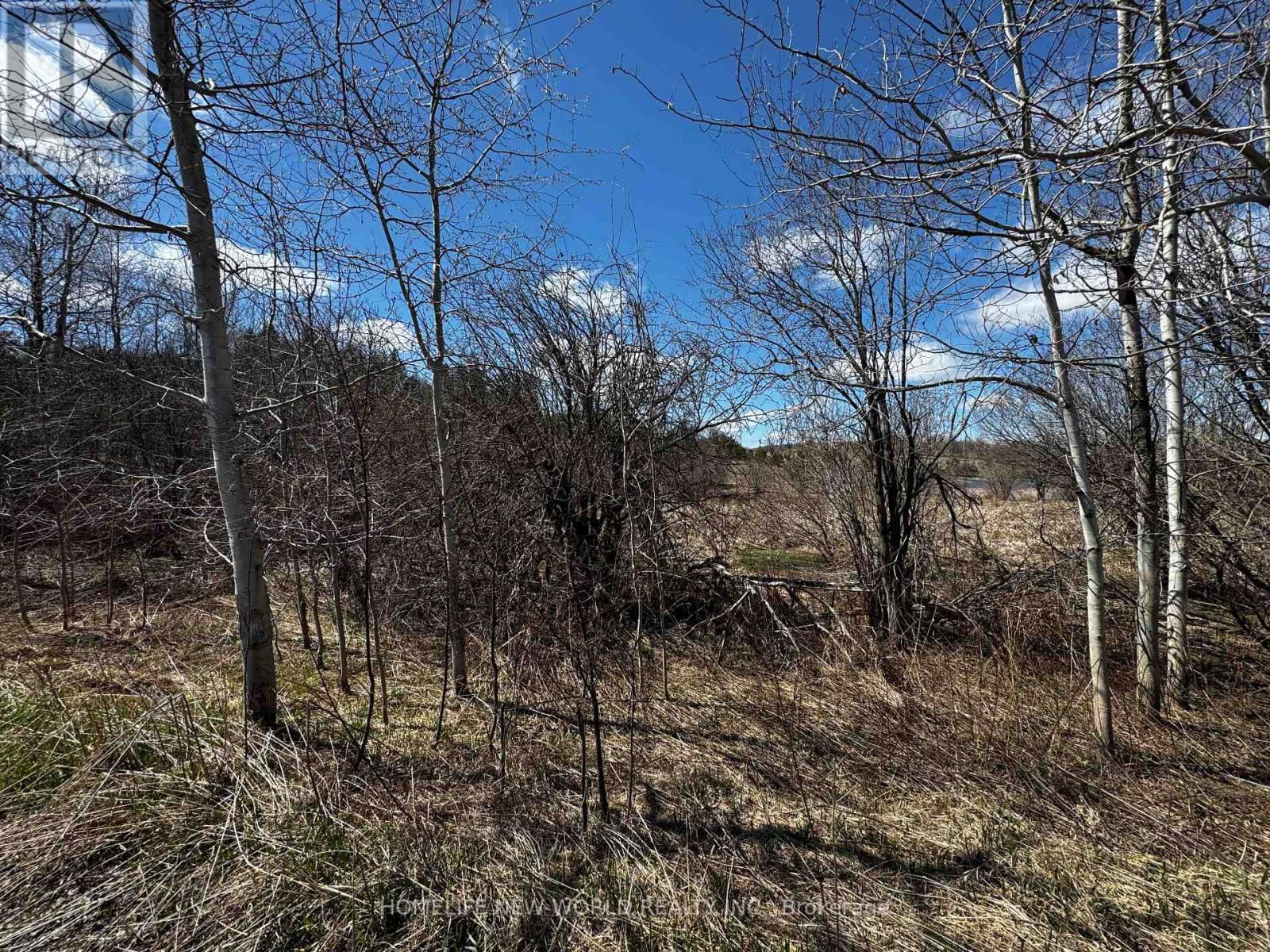 5285 TRAFALGAR ROAD Image 13