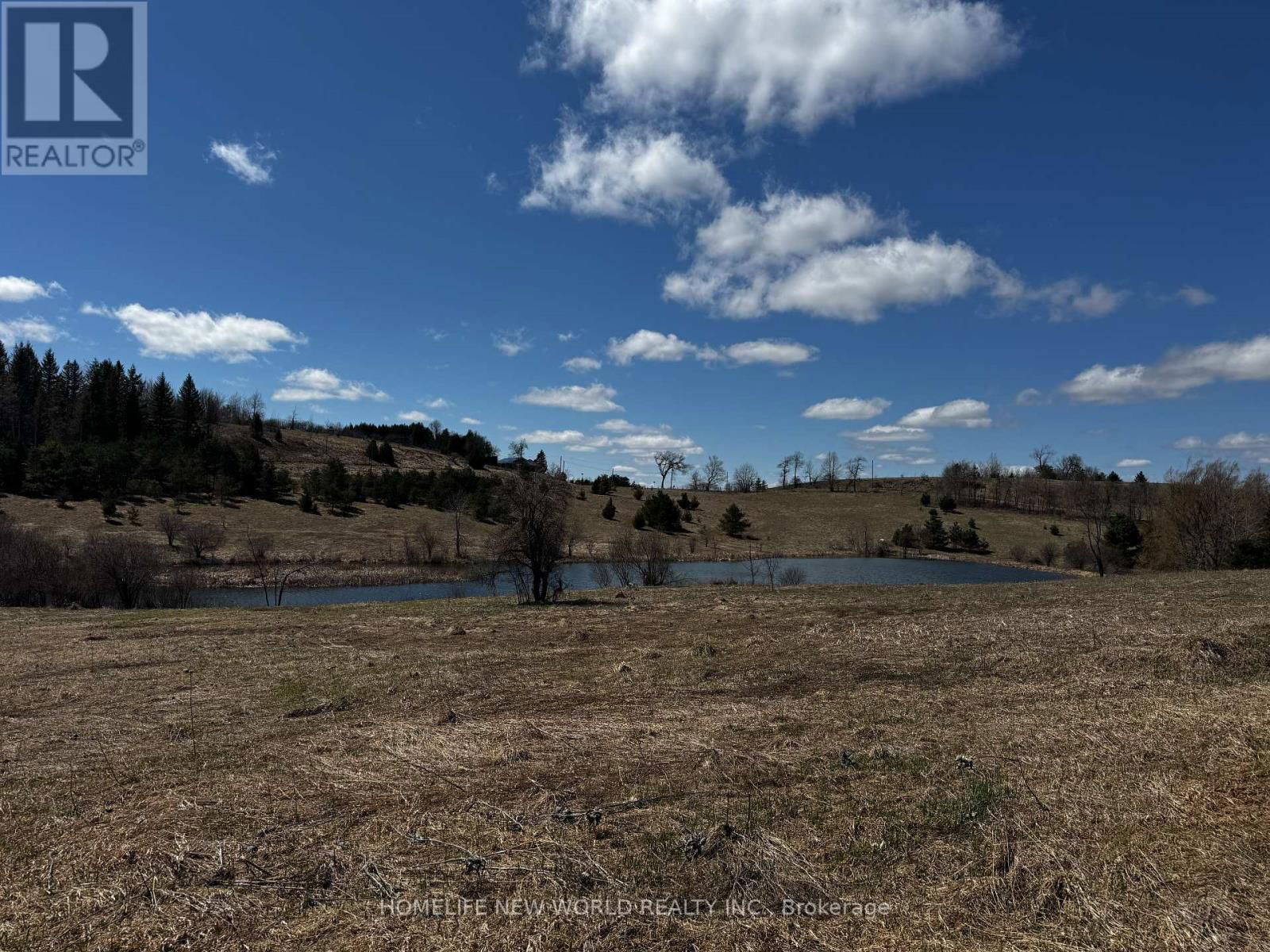 5285 TRAFALGAR ROAD Image 14