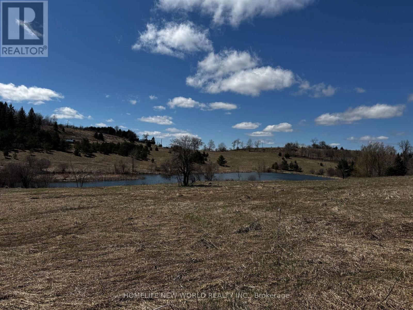 5285 TRAFALGAR ROAD Image 15
