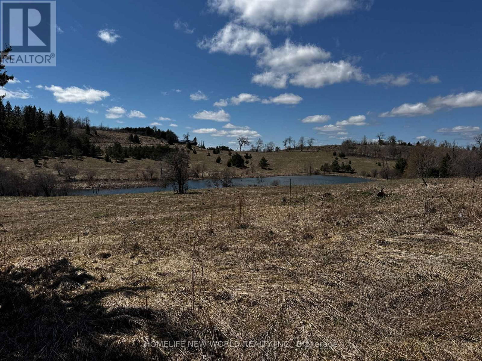 5285 TRAFALGAR ROAD Image 19