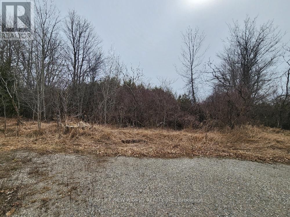 5285 TRAFALGAR ROAD Image 20