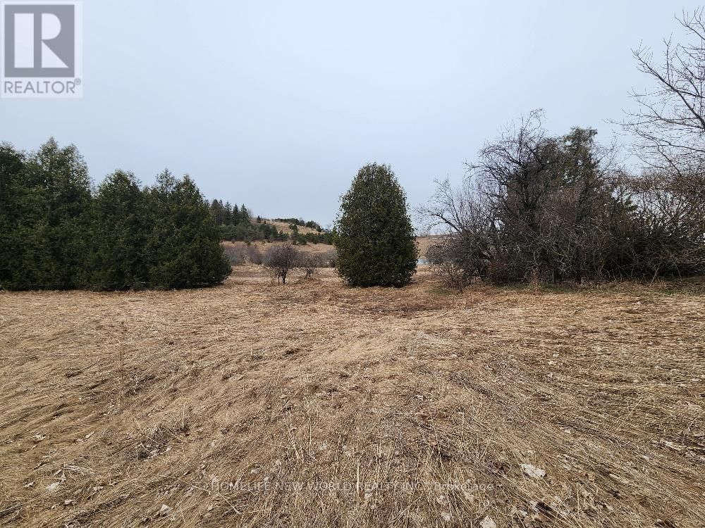5285 TRAFALGAR ROAD Image 21