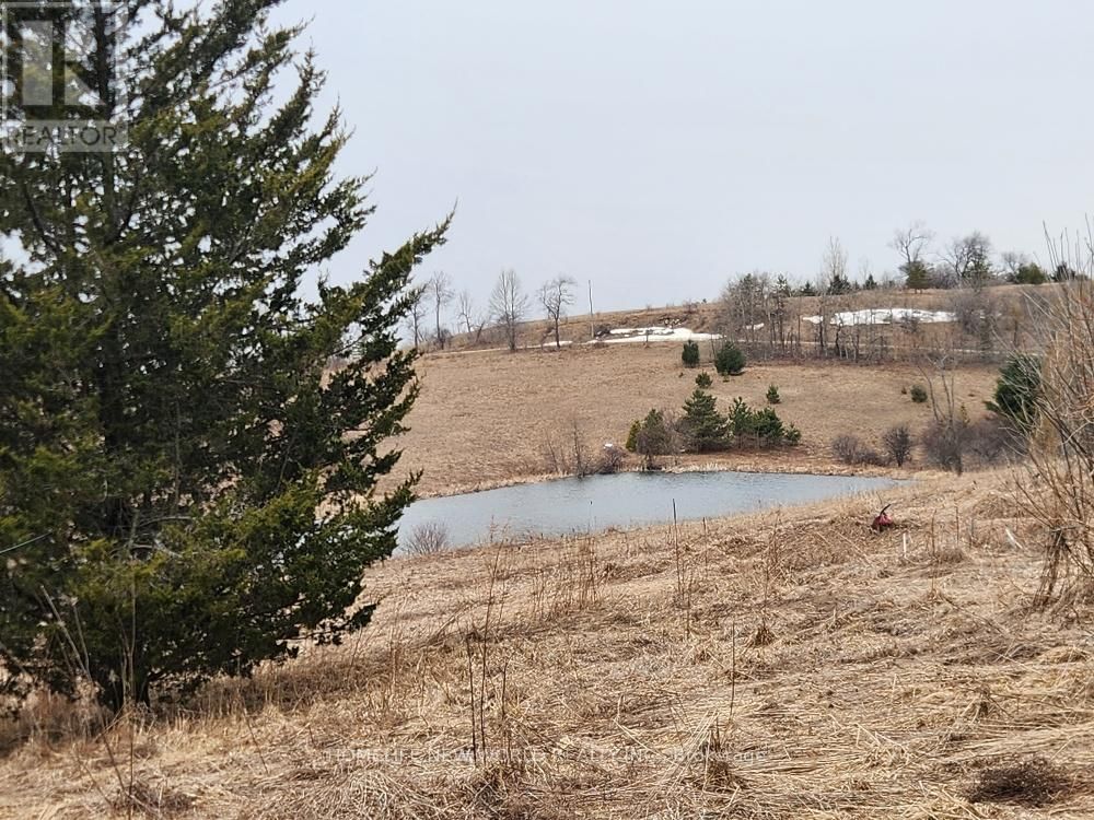 5285 TRAFALGAR ROAD Image 22