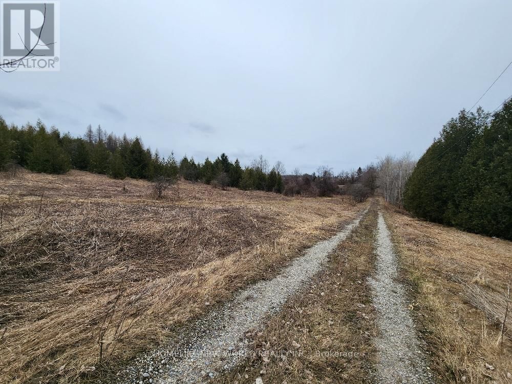 5285 TRAFALGAR ROAD Image 25