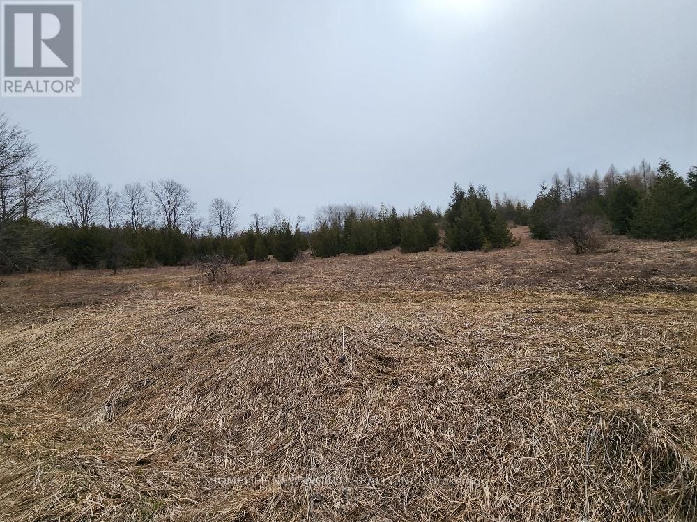 5285 TRAFALGAR ROAD Image 26