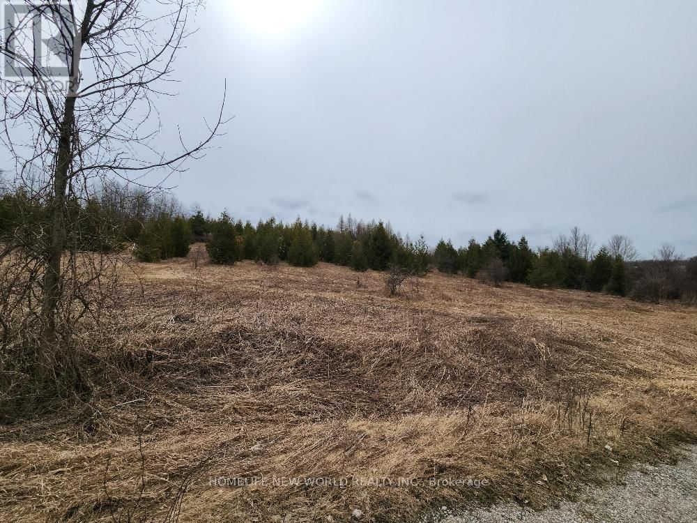 5285 TRAFALGAR ROAD Image 27