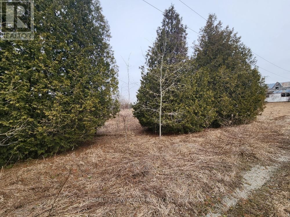 5285 TRAFALGAR ROAD Image 28
