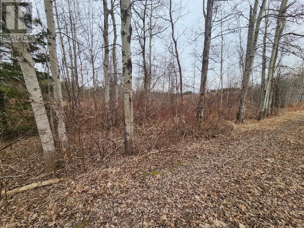 5285 TRAFALGAR ROAD Image 29