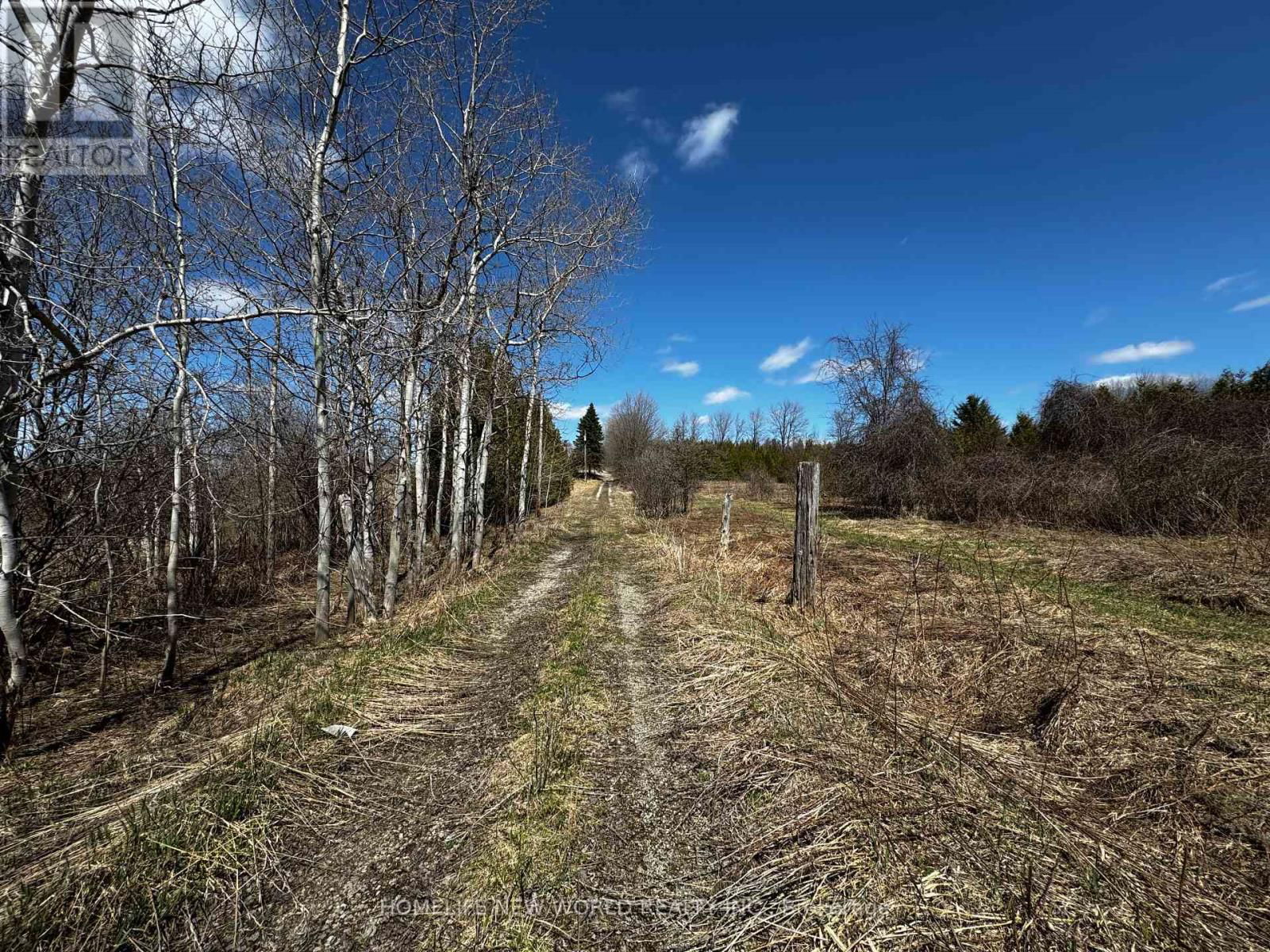 5285 TRAFALGAR ROAD Image 5